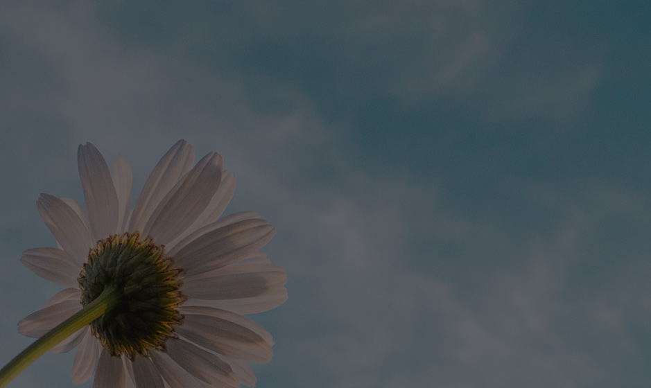 這(zhè)是(shì)描述信息